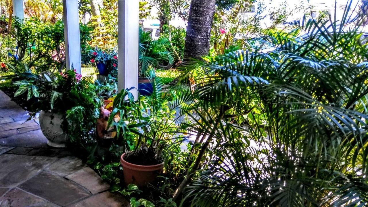 Boca Ciega Bay Apartment St. Pete Beach Eksteriør billede